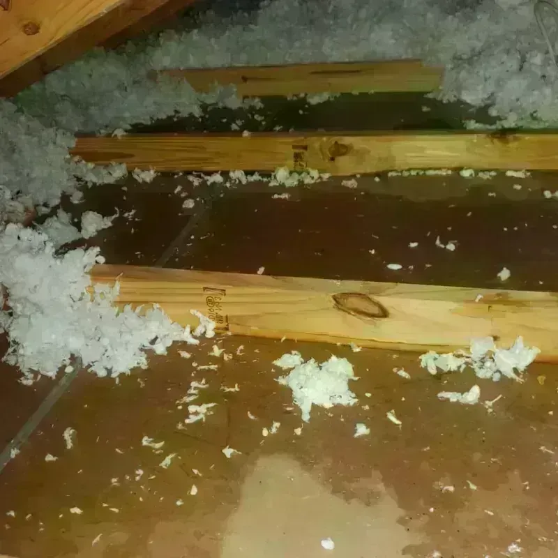 Attic Water Damage in Nottingham, NH