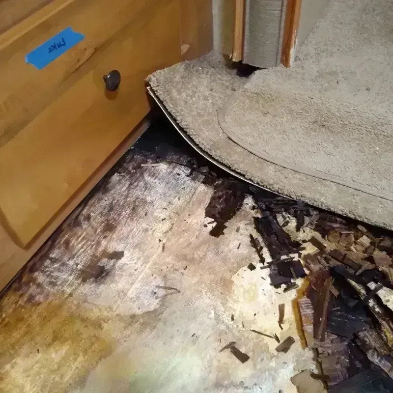 Best Wood Floor Water Damage Service in Nottingham, NH